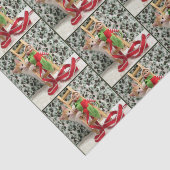 アニーと小妖精や小人- Cat / Kittenティッシュペーパー 薄葉紙 (詳細)