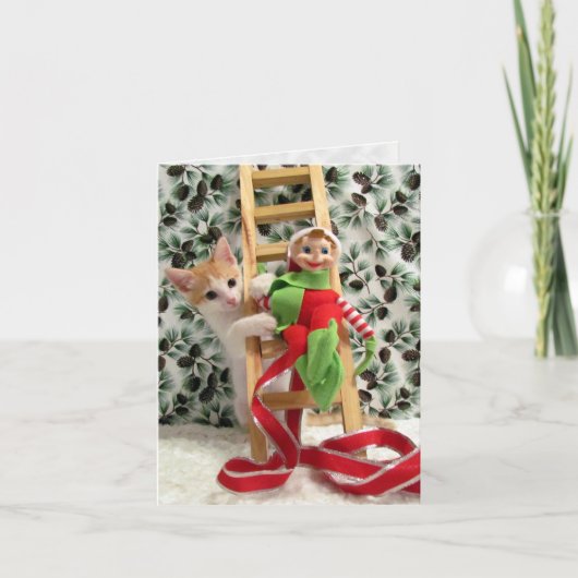 アニーと小妖精や小人- Cat / Kitten Christmas Card シーズンカード (正面)