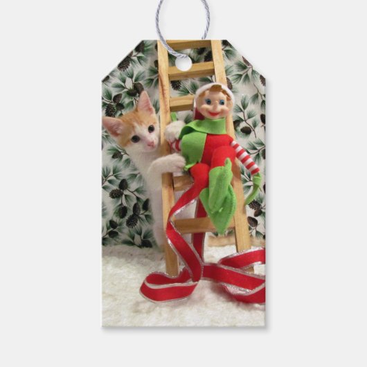 アニーと小妖精や小人- Cat / Kitten Giftラベル ギフトタグ (正面)
