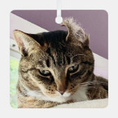 アニーのクリスマスオーナメント メタルオーナメント (正面)