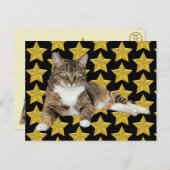 アニーのスター猫はがき ポストカード (正面/裏面)