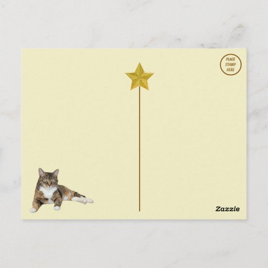 アニーのスター猫はがき ポストカード (裏面)
