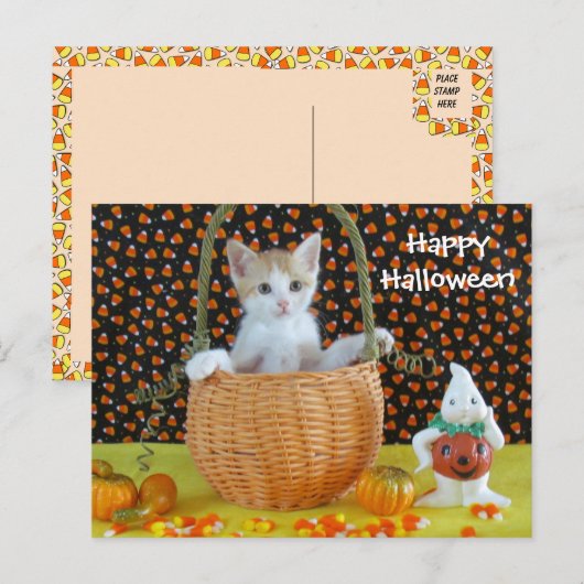 アニーのハロウィーンバスケット猫/子猫 ポストカード (正面/裏面)