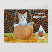 アニーのハロウィーンバスケット猫/子猫 ポストカード (正面)