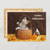 アニーの不思議なハロウィーン猫 ポストカード (正面/裏面)
