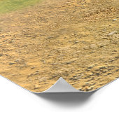 アニーオークリー ポスター (角)