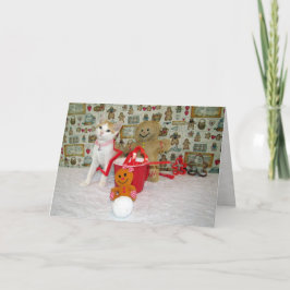 アニーズクッキーカッター – Cat /キットンクリスマス シーズンカード