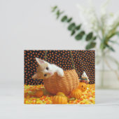 アニーズ・スウィート・ハロウィーン – 猫/子猫はがき ポストカード (スタンド正面)