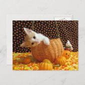 アニーズ・スウィート・ハロウィーン – 猫/子猫はがき ポストカード (正面/裏面)