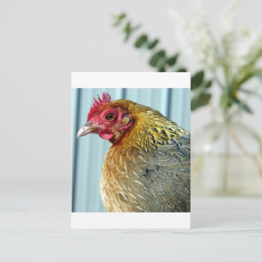 アニー ポストカード (スタンド正面)