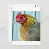 アニー ポストカード (正面/裏面)