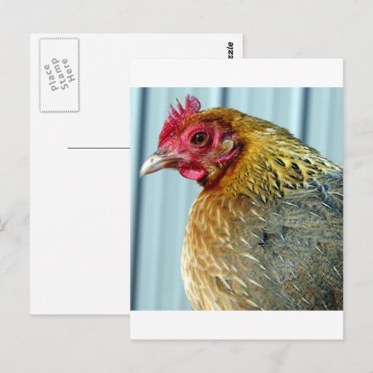 アニー ポストカード (正面/裏面)