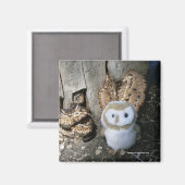 アニー&マッシュルーム マグネット (正面/裏面)