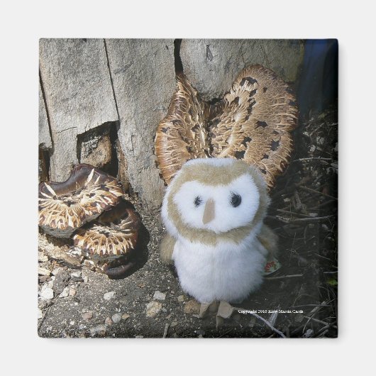 アニー&マッシュルーム マグネット (正面)