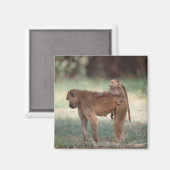 アヌビスバブーン マグネット (正面/裏面)