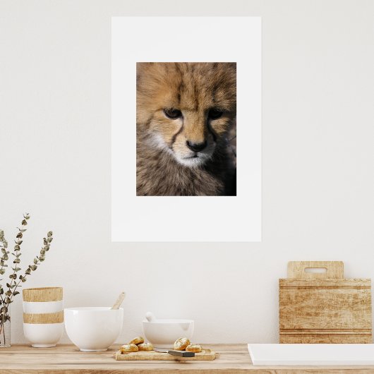 アヌビス ポスター (キッチン)