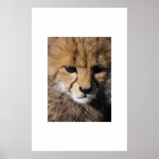 アヌビス ポスター