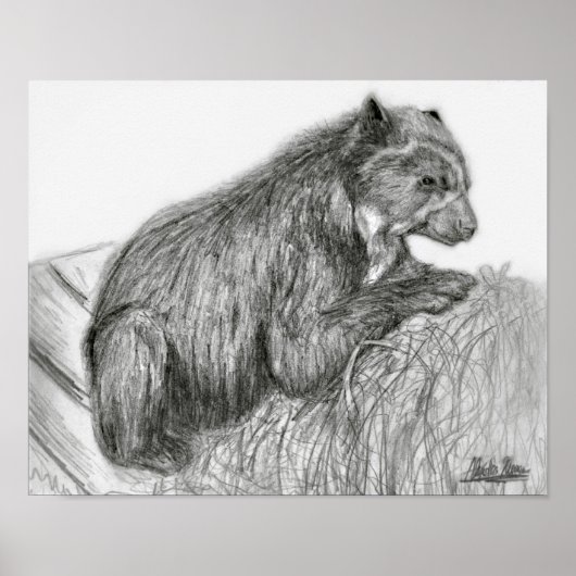 アヌマンブブプリント ポスター (正面)