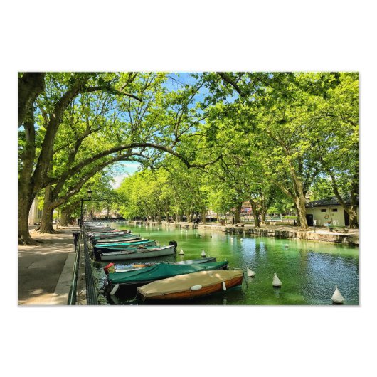 アネシー フォトプリント            (正面)