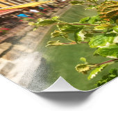 アネシー フォトプリント            (角)