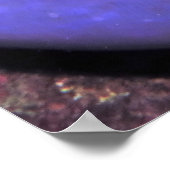 アネノームのアネノメフィッシュ ポスター (角)