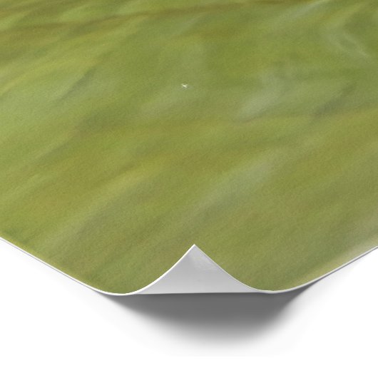 アネメ鮮やかグ ポスター (角)