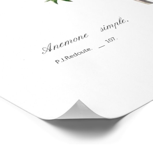 アネモニー ポスター (角)