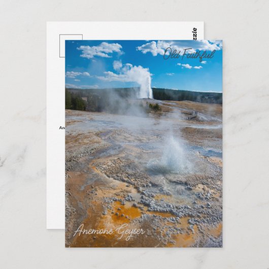 アネモネと昔ながらの忠実な間欠泉が噴火 ポストカード (正面/裏面)