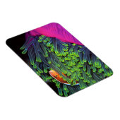 アネモネに隠れる魚,モザンビーク2 マグネット (右側)