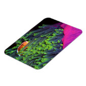 アネモネに隠れる魚,モザンビーク2 マグネット (左側)