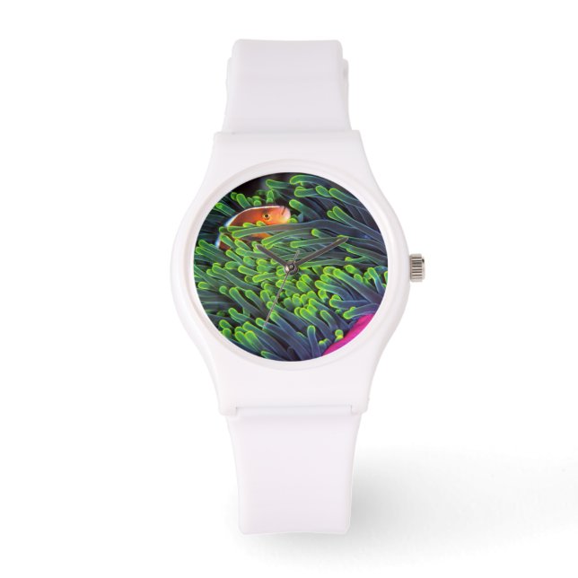 アネモネに隠れる魚，モザンビーク2 腕時計 (正面)