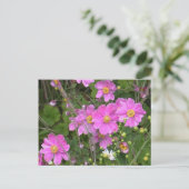 アネモネのはがき ポストカード (スタンド正面)