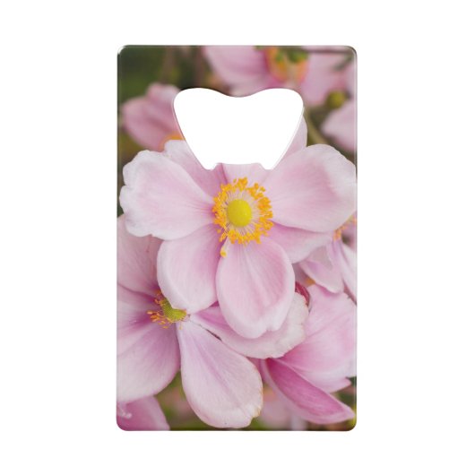 アネモネの日本の花 クレジットカード栓抜き (正面)