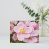 アネモネの日本の花 ポストカード (スタンド正面)