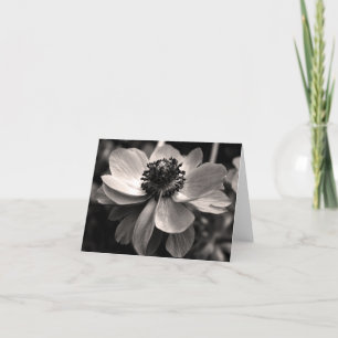 アネモネの花の写真の悔やみや弔慰はメッセージカード感謝していしています サンキューカード