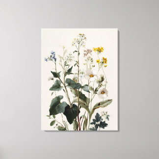 アネモネの野生の花の房 キャンバスプリント
