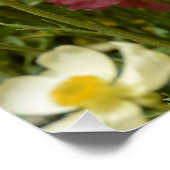 アネモネスの分野 ポスター (コーナー)