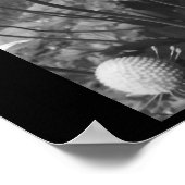 アネモネス ポスター (角)