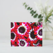 アネモネス ポストカード (スタンド正面)