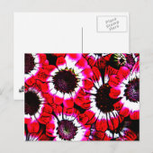 アネモネス ポストカード (正面/裏面)