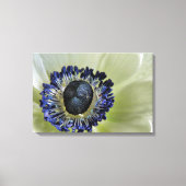 アネモネミストラルパンダ キャンバスプリント (正面)