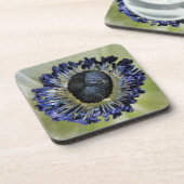 アネモネミストラルパンダ コースター (左側)