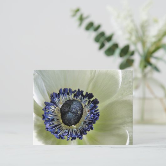 アネモネミストラルパンダ ポストカード (スタンド正面)