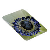 アネモネミストラルパンダ マグネット (右側)