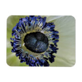 アネモネミストラルパンダ マグネット (横)