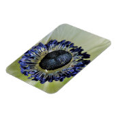 アネモネミストラルパンダ マグネット (左側)