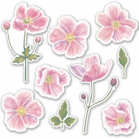 アネモネ日本のの花 シール (正面)