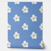 アネモネ日本のフラワー壁紙 壁紙 (ほどく)