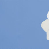 アネモネ日本のフラワー壁紙 壁紙 (縫い目)