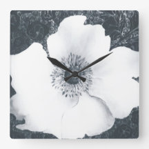 アネモネ日本の。